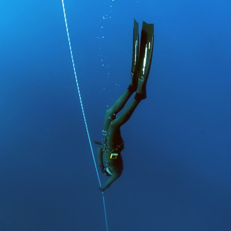 Cover Image for Deep Dive Program W2