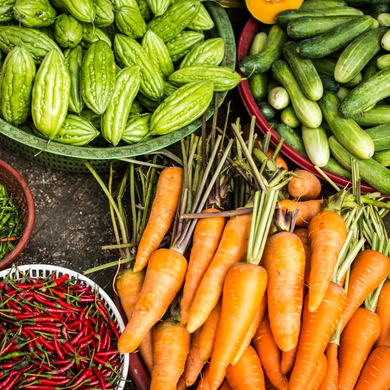 Cover Image for Sustainable Agriculture in the City!!!