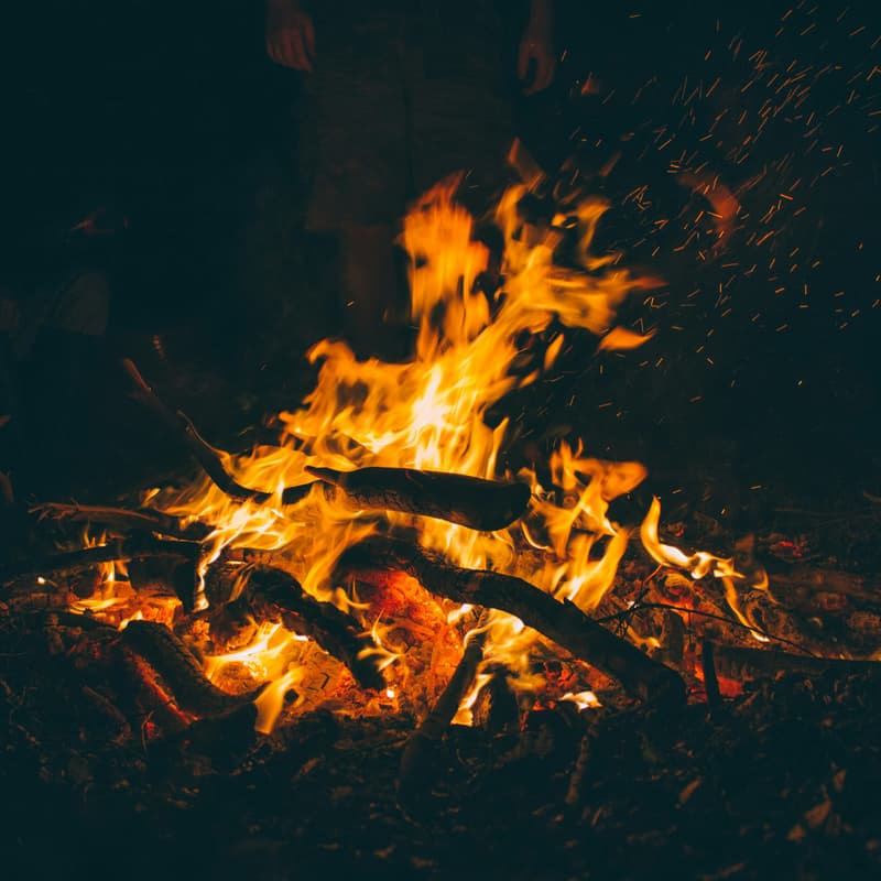 Cover Image for Burn Your SDG&E Bill Bonfire