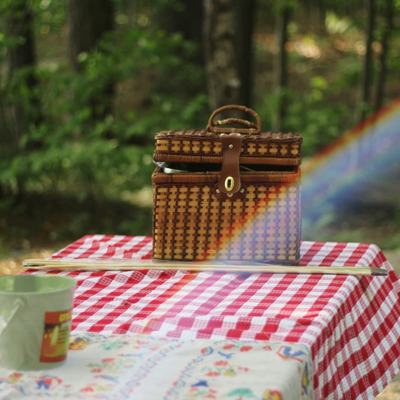 Cover Image for Summer picnic