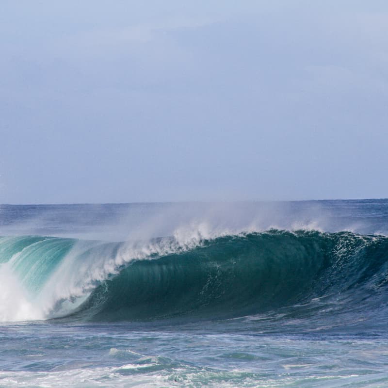 Cover Image for Surfers in Climate with Save The Waves