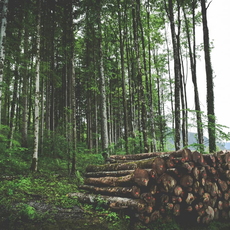 Cover Image for Forestry Entrepreneurship: Building and Scaling your Business