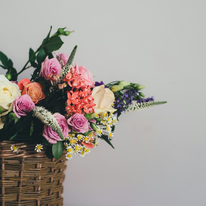 Cover Image for Spring Flower Walk