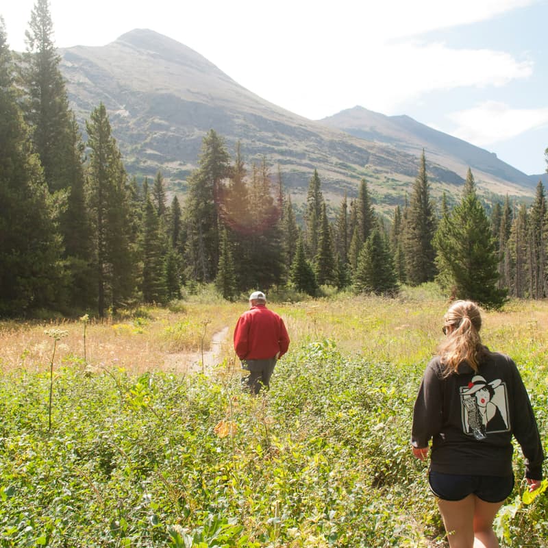 Cover Image for YQG - Startups & AI Walks - July Edition
