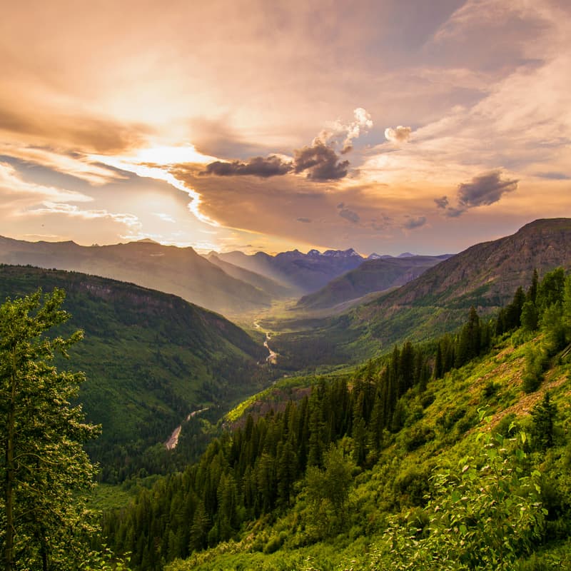 Cover Image for Fireside Chat with Kyle Cetrulo: Exploring Montana's Bold Move in Experimental Medicine