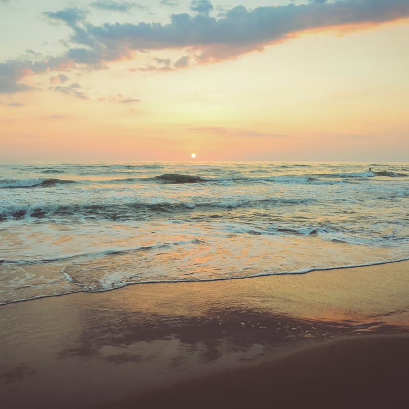 Cover Image for Low Tide Low Tech