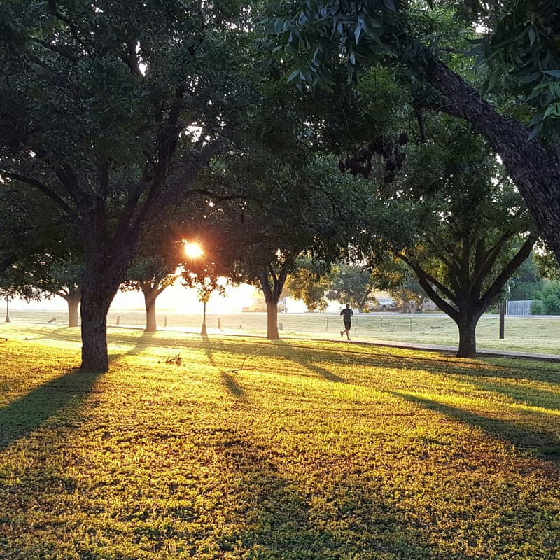 Cover Image for Walk & Talk: reflections on wellbeing, impact, entrepreneurship and resilience.