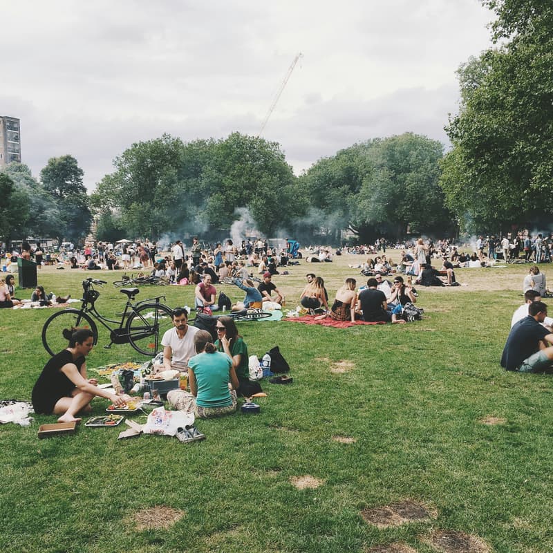 Cover Image for Picnic At Concert In The Park