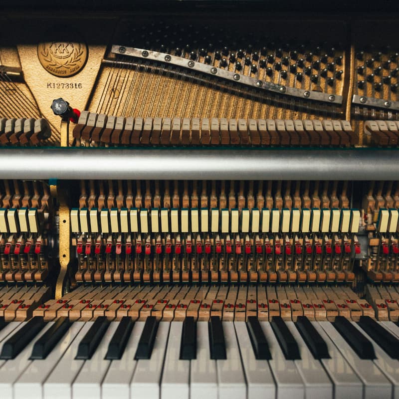 Cover Image for HOLD: Music Night (Luke or Dan)