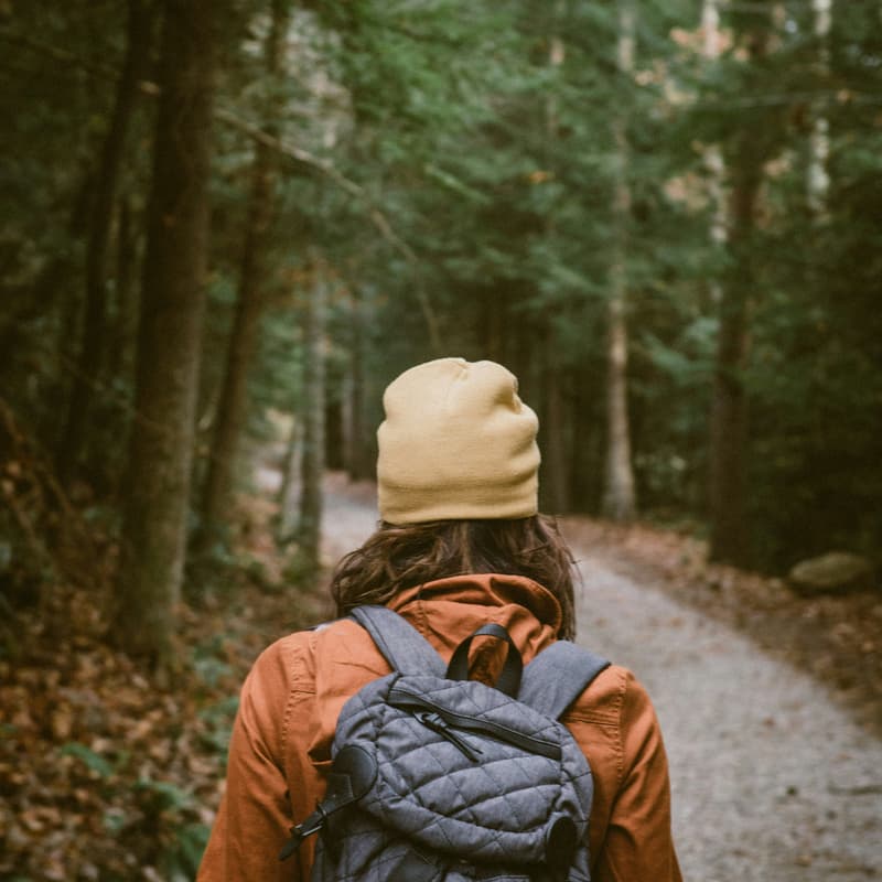 Cover Image for Hike & Chat: Summer/Fall Edition