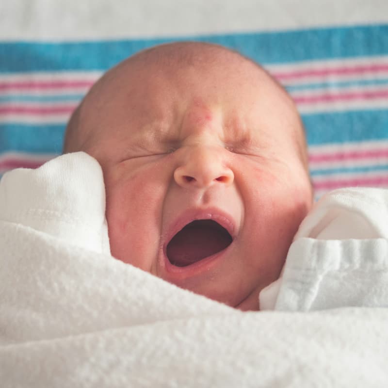 Cover Image for #CPDTalk Beyond Biology: The Past, Present, and Future of Surrogacy Law
