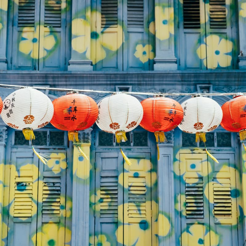 Cover Image for Mandarin Immersion Circle