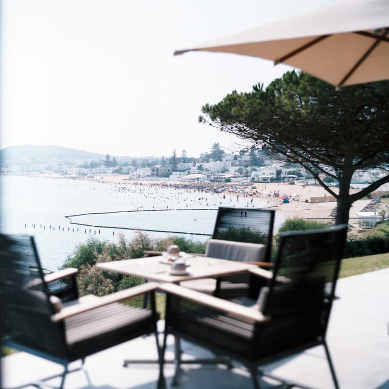 Cover Image for Virtual: Dell for Startups Office/Lunch Hour