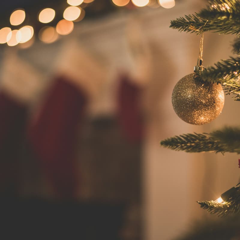 Cover Image for LOI Vancouver's Holiday Social