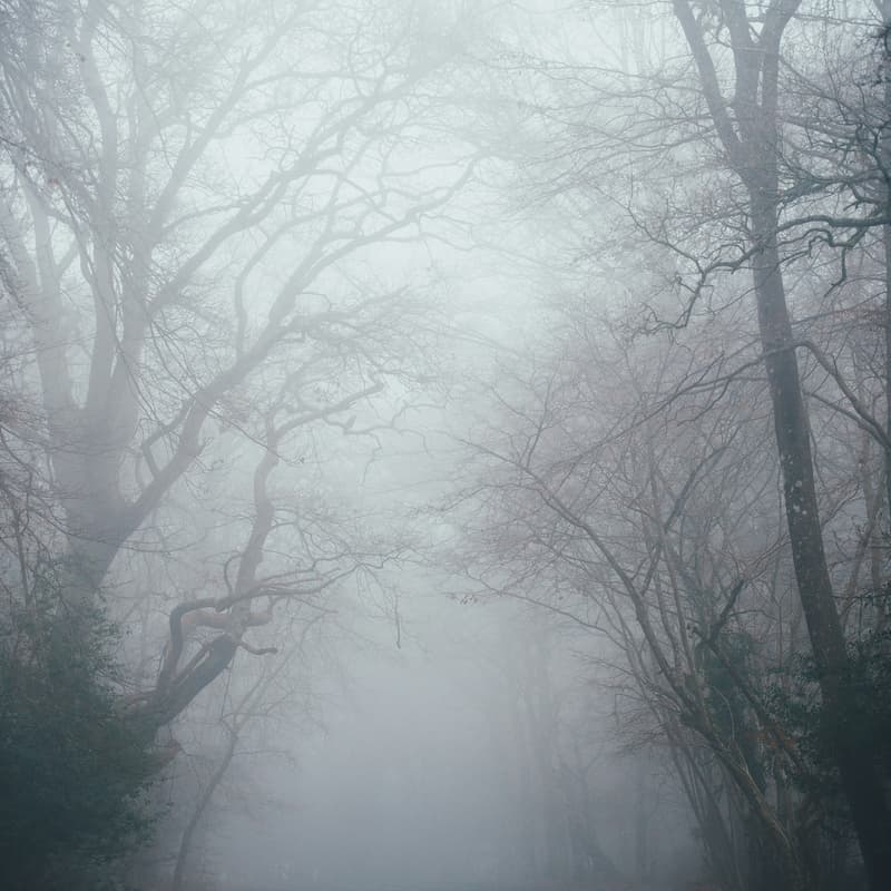 Cover Image for Scary Startup Stories: Founders and Investors Networking Lunch, Workshop and Death Metal Show