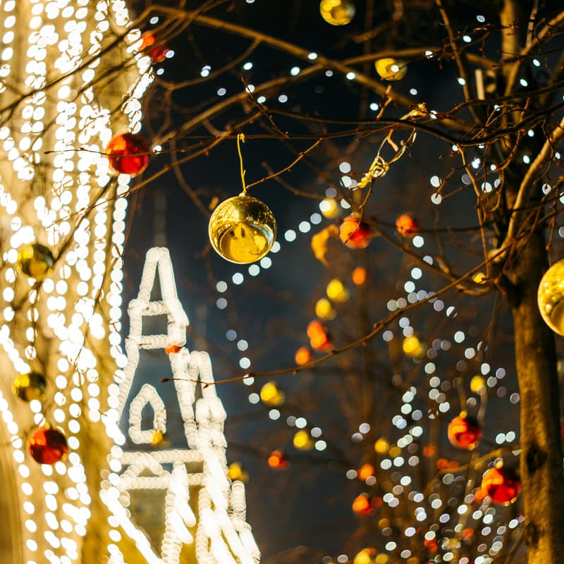 Cover Image for 🎄 Holiday Lights Stroll (Founding Member Welcome Series)