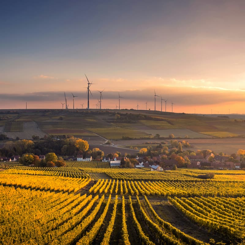 Cover Image for North Bay Climate and Clean Energy Community Happy Hour