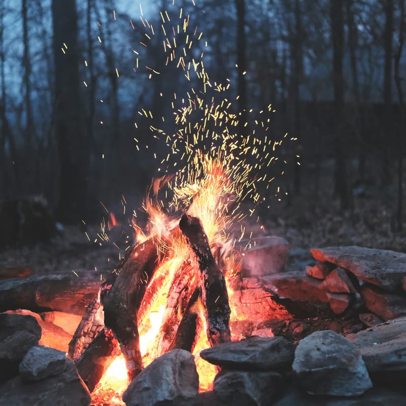 Cover Image for Camping in Buena Vista
