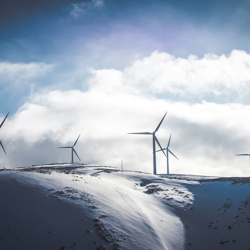 Cover Image for Climate action under Trump: What can we expect and what can we do?