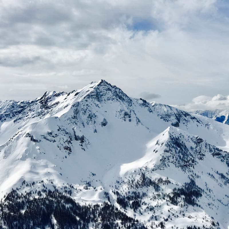 Cover Image for Davos Friday Brunch @ WEF-secured Hotel Alpengold (incl Hotel Badge)
