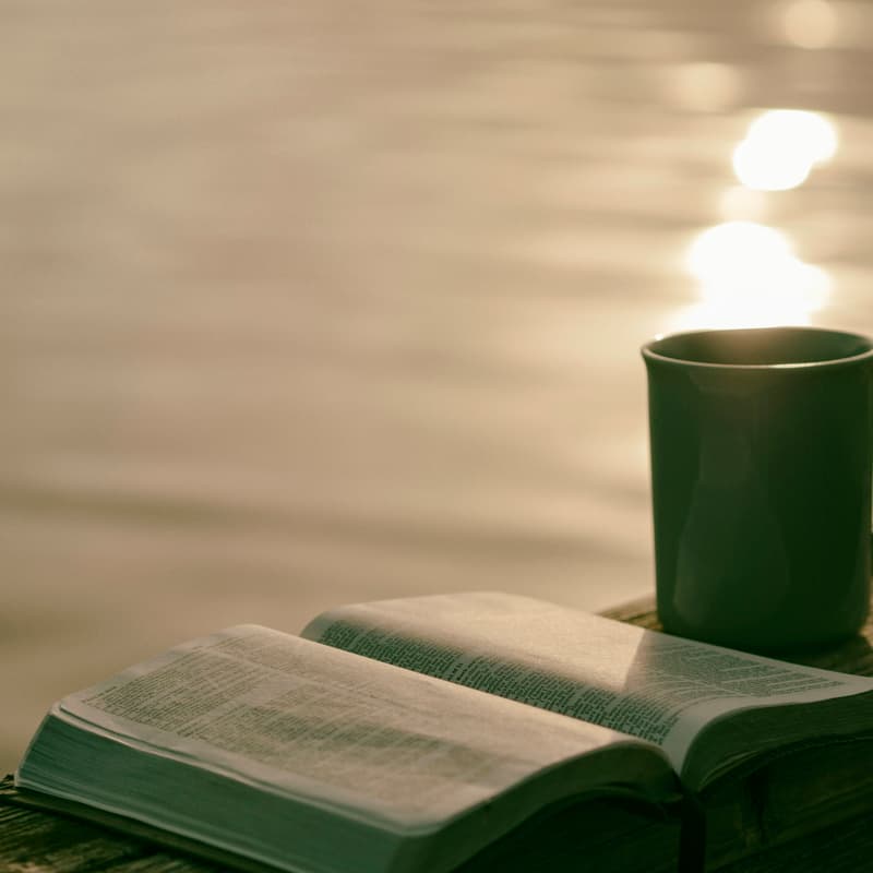 Cover Image for CoSocial Reading Group: Lifehouse, session 3