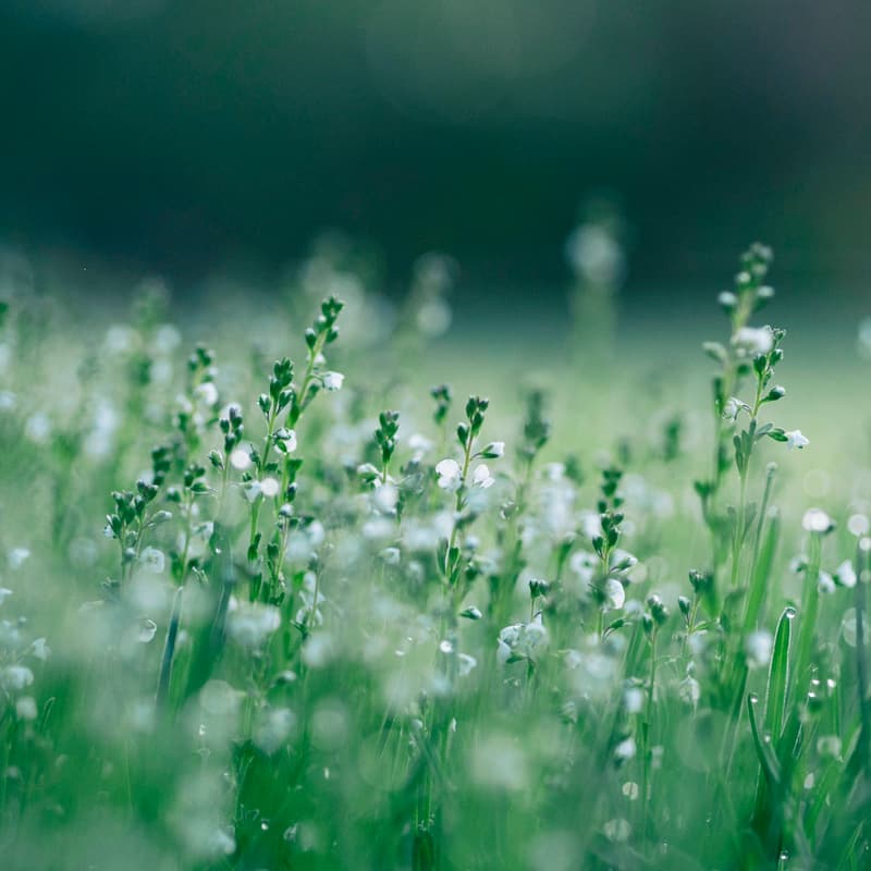 Cover Image for Free Interview Webinar