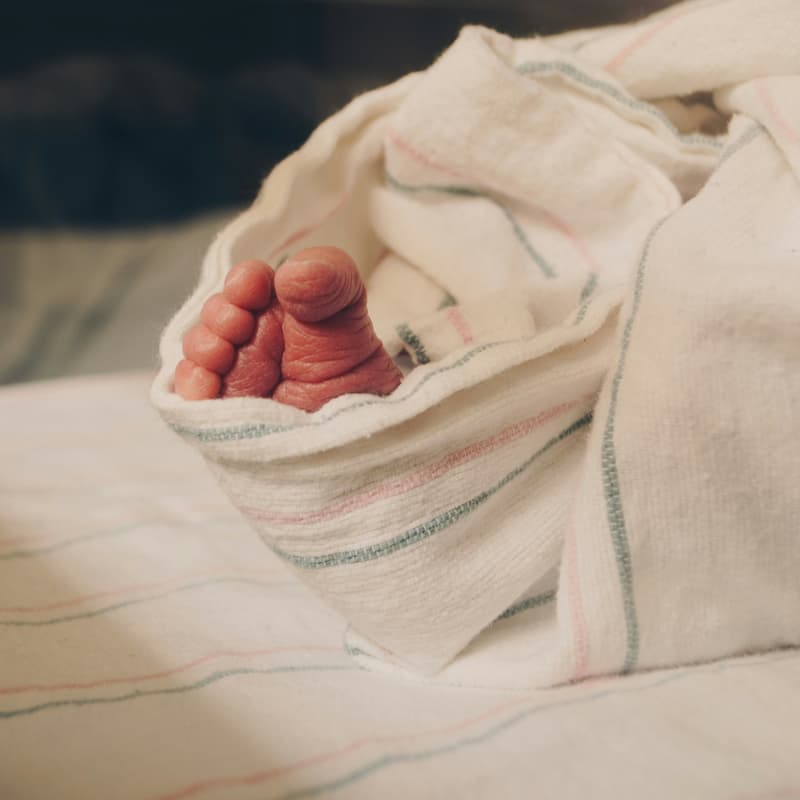 Cover Image for Navigating Birth Trauma: Understanding, Supporting, and Healing