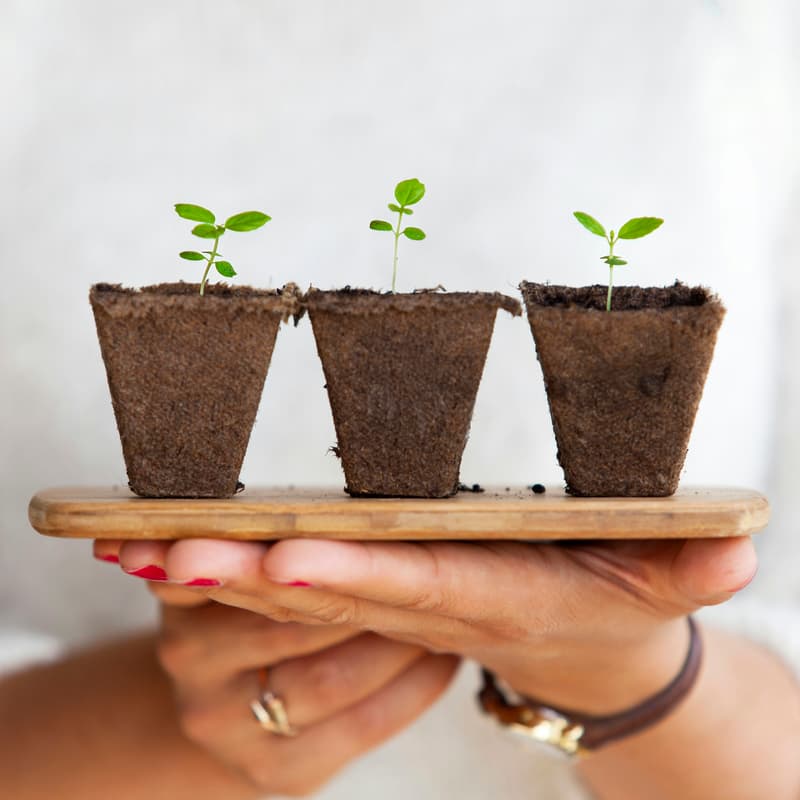 Cover Image for Greening Your Personal Finances - why your 401k is a climate decision