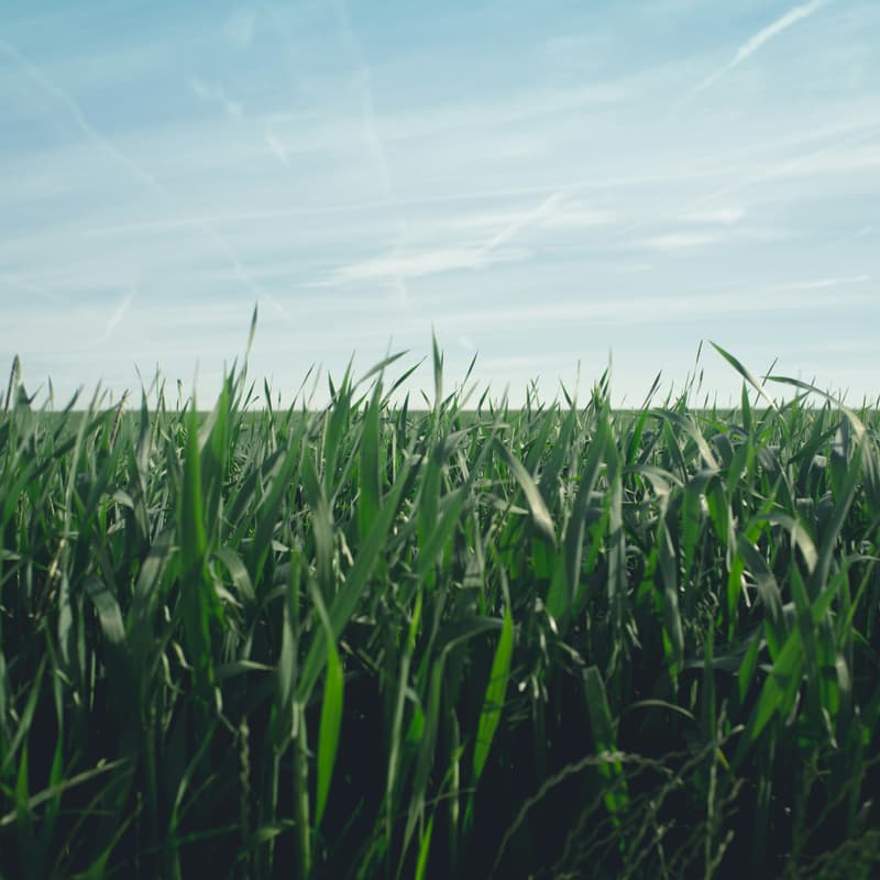 Cover Image for What does it take to launch a nonprofit reshaping Europe's food policy? · The story of The Protein Project