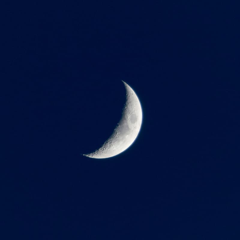 Cover Image for New Moon Dreamland