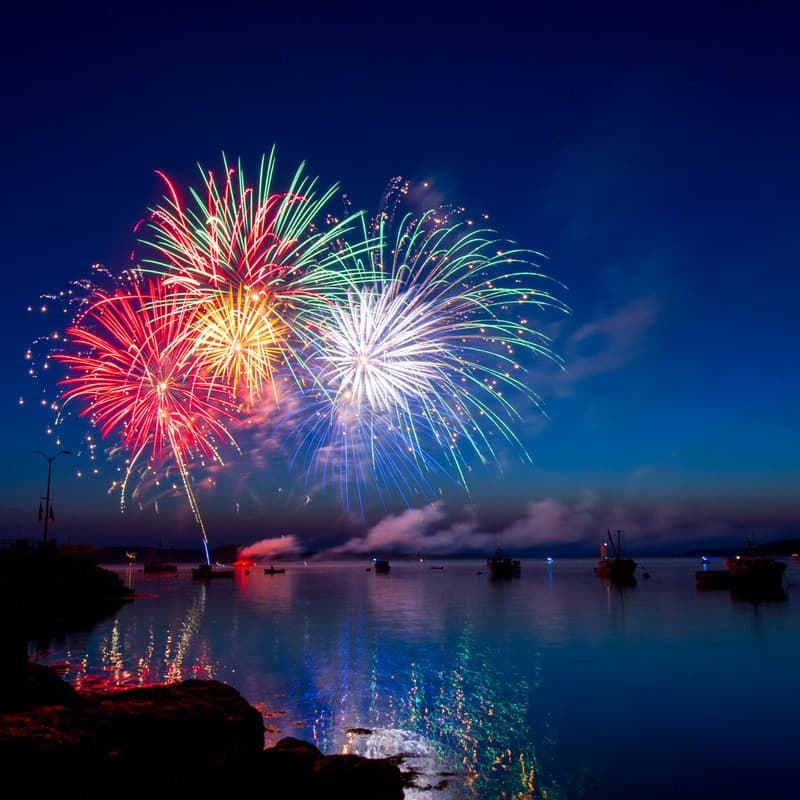Cover Image for New Year Celebration & New Member Event