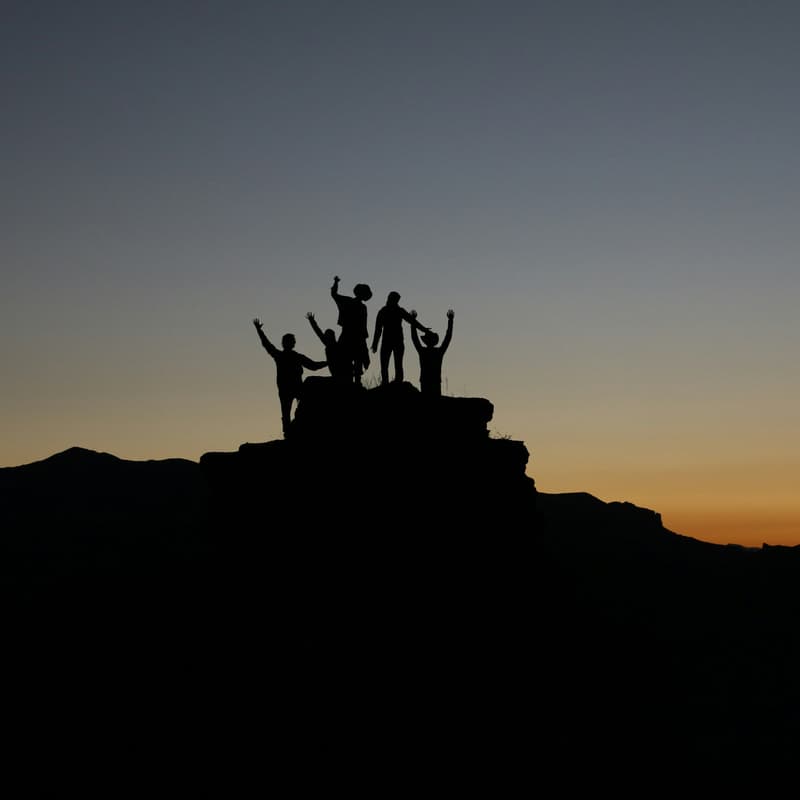 Cover Image for Men's Team