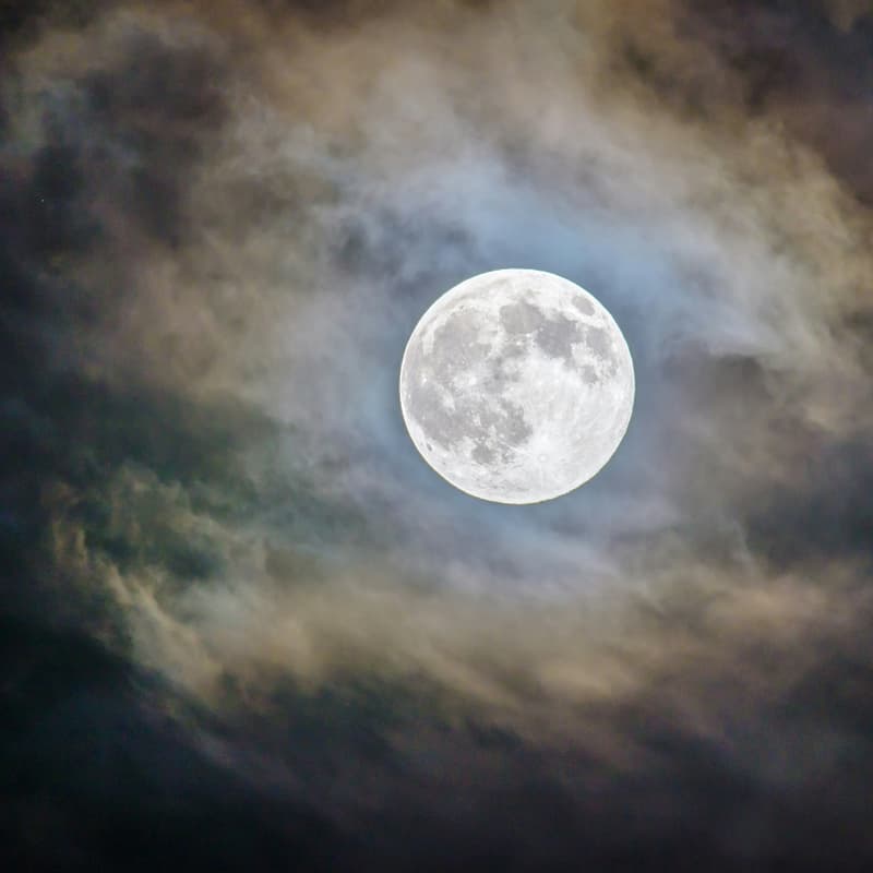 Cover Image for Fort Greene Full Moon Walk