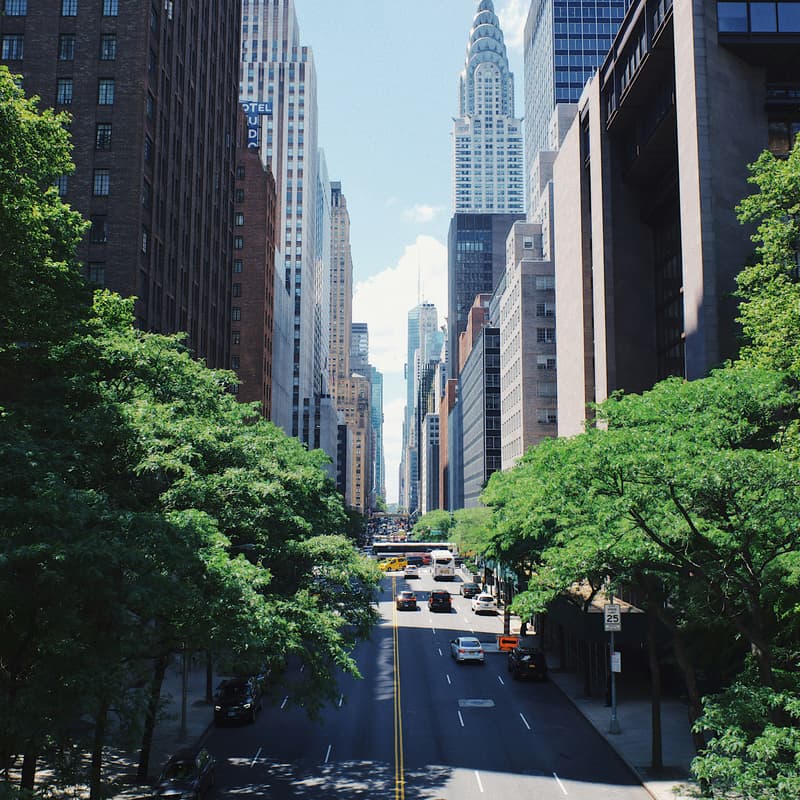 Cover Image for Consulate General of Denmark in New York x SUNY | TENs Workshop
