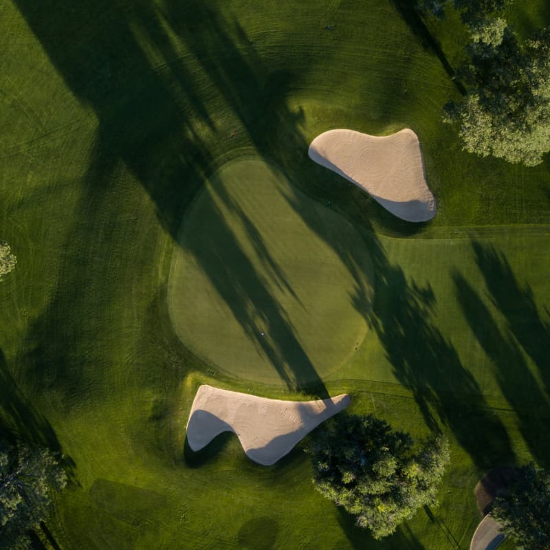 Cover Image for The Open Invite AZ