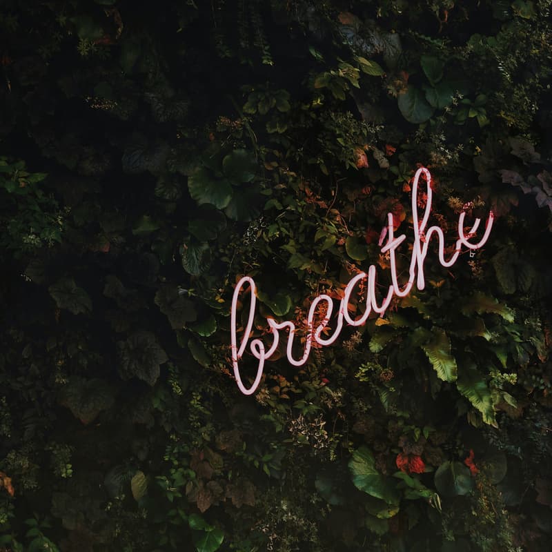 Cover Image for Space to Breathe 1/4
