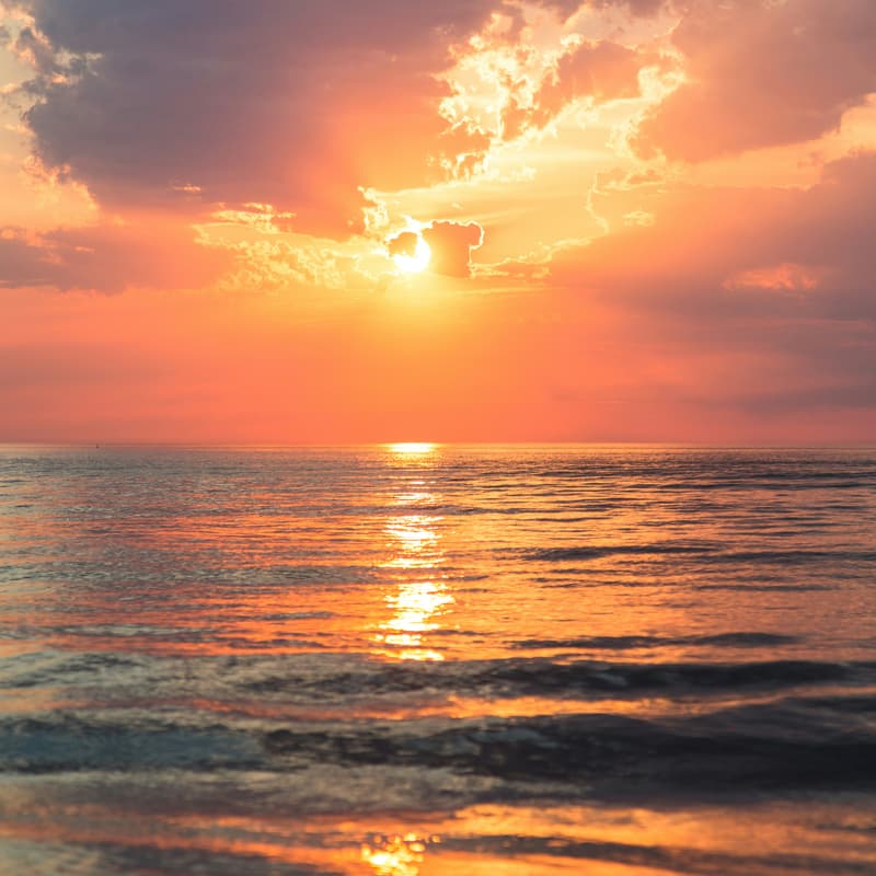Cover Image for The Drop Sunset Sauna (last entry before 18:30 PM)