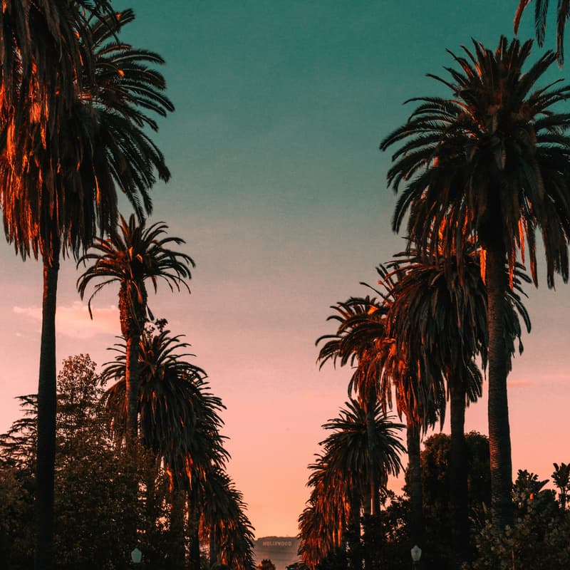 Cover Image for Santa Monica Lunch & Chill w/ Velvet + Revere
