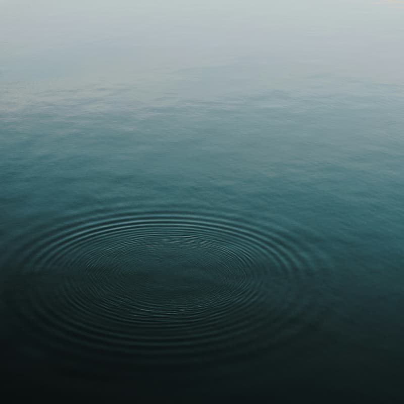 Cover Image for Venice Wellness