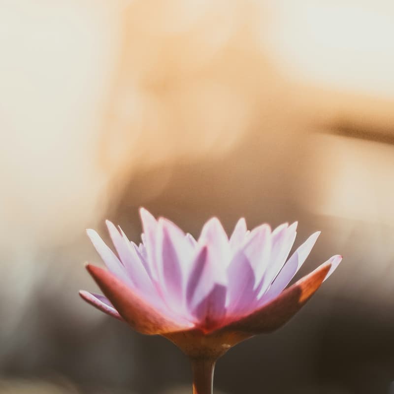 Cover Image for Grounding in Goodness: An evening of Yin + Sound Healing