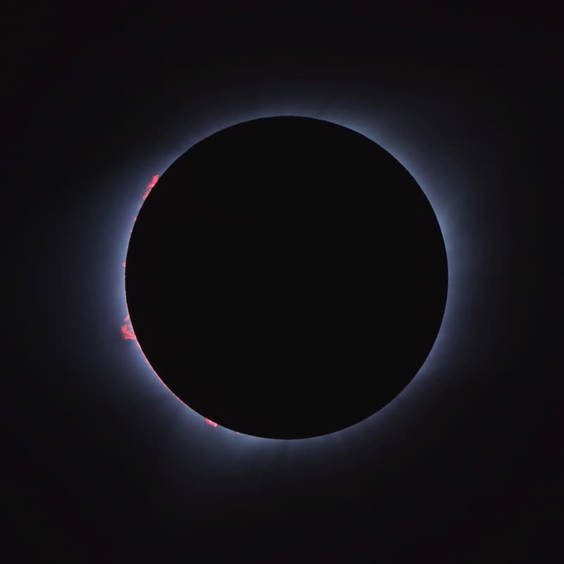 Cover Image for New Moon: A Conversation Cafe