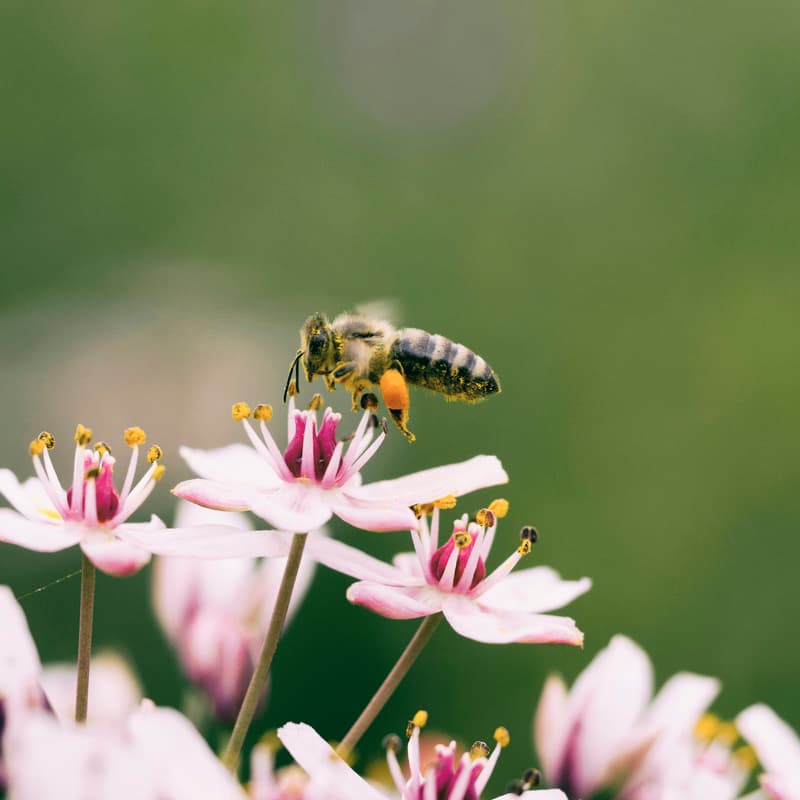 Cover Image for CSU Climate and Sustainability Happy Hour