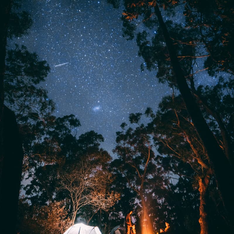 Cover Image for MSU Retreat