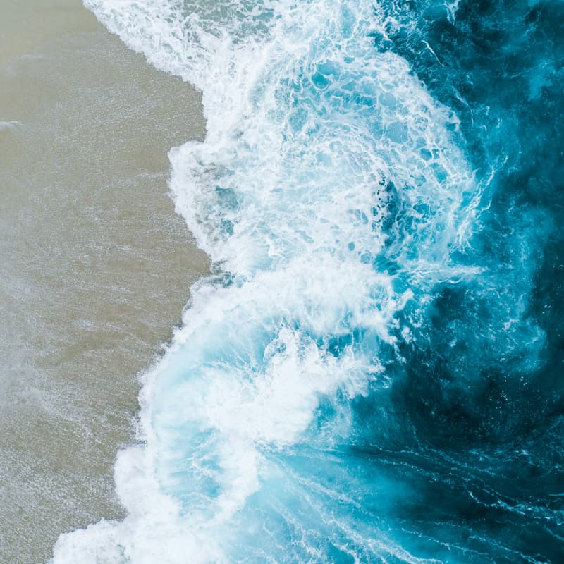 Cover Image for 🌊 Marine Carbon Removal Fireside | Hosted by Seoi.Cure CDR x Women in Carbon