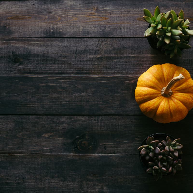 Cover Image for AI Fellows Alumni "Fellowsgiving" 🍁