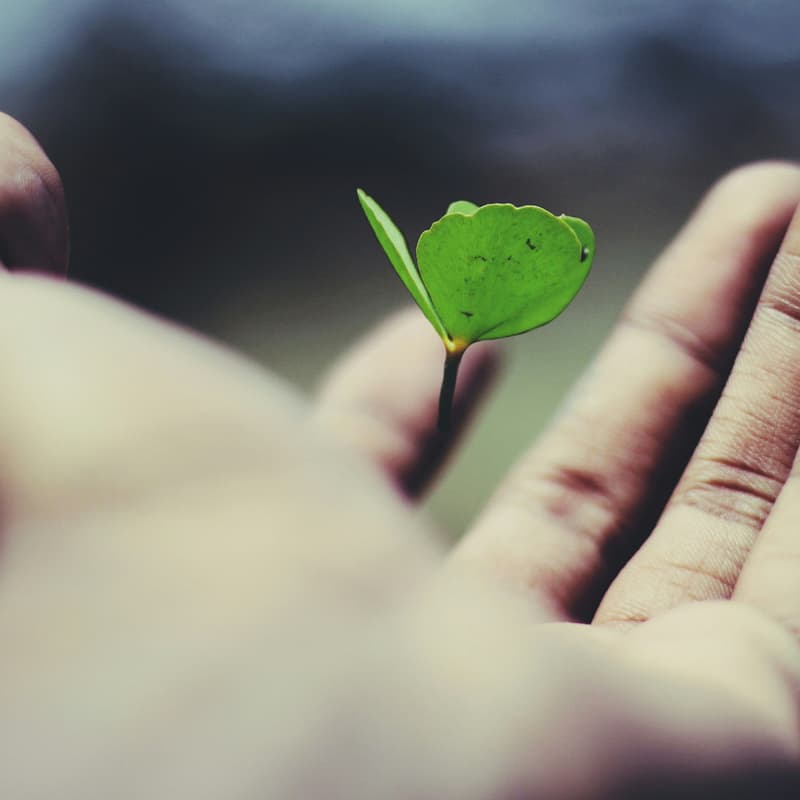 Cover Image for Planting Hope – 4/4 Idealist World Event