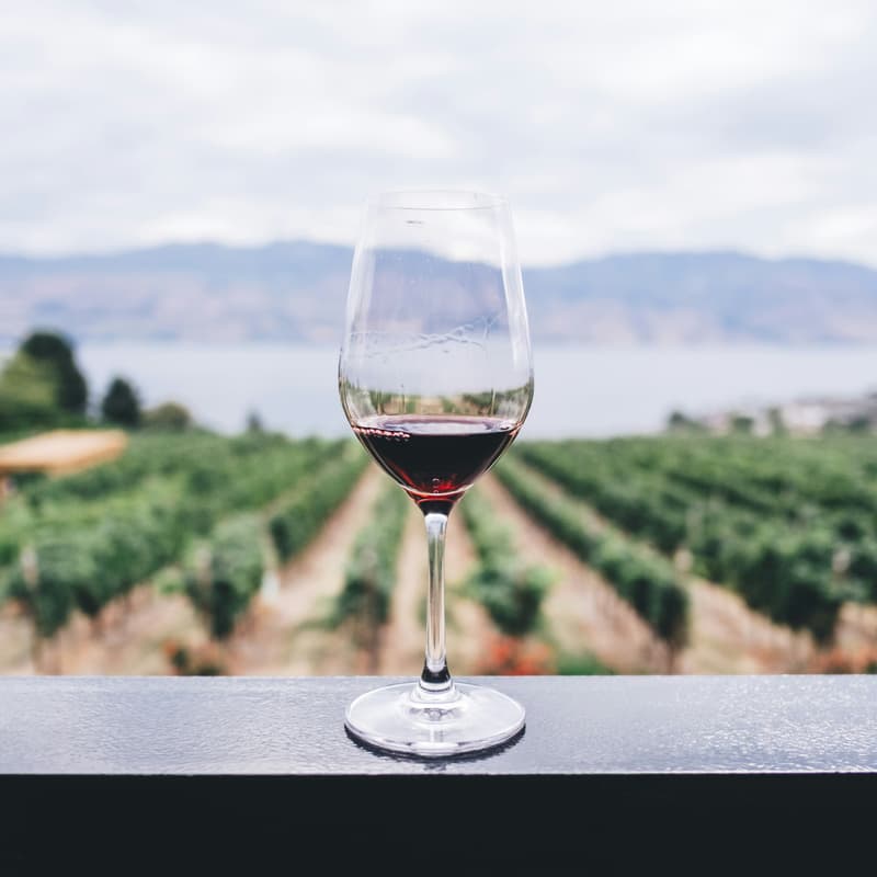 Cover Image for Wine & Walk (Peninsula)