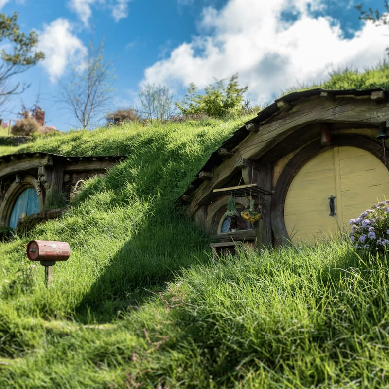 Cover Image for Lord of the Rings: One Marathon to Rule Them All [public]