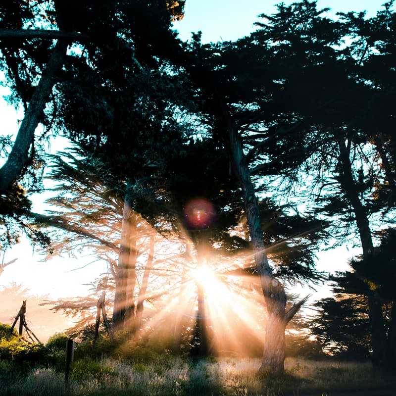 Cover Image for Monday Sunrise Mindfulness and Movement