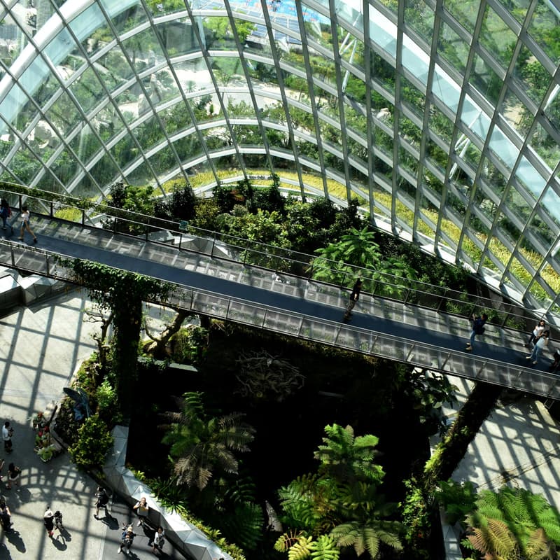 Cover Image for Building the Next Cultural Epic: Sustainability vs Survivability